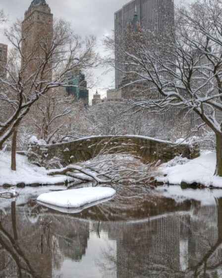 O inverno em Nova York é uma estação mágica