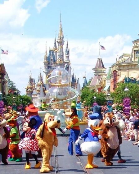 Orlando na Flória - onde se localizam os Parques na Disney.